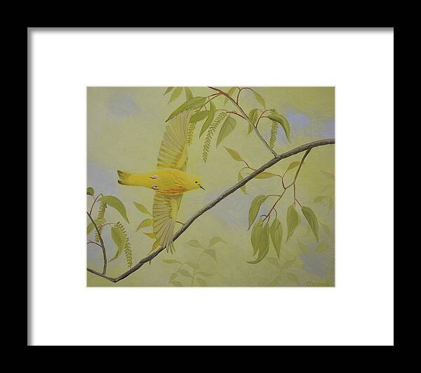 Warbler Framed Print featuring the painting Yellow Warbler by Charles Owens