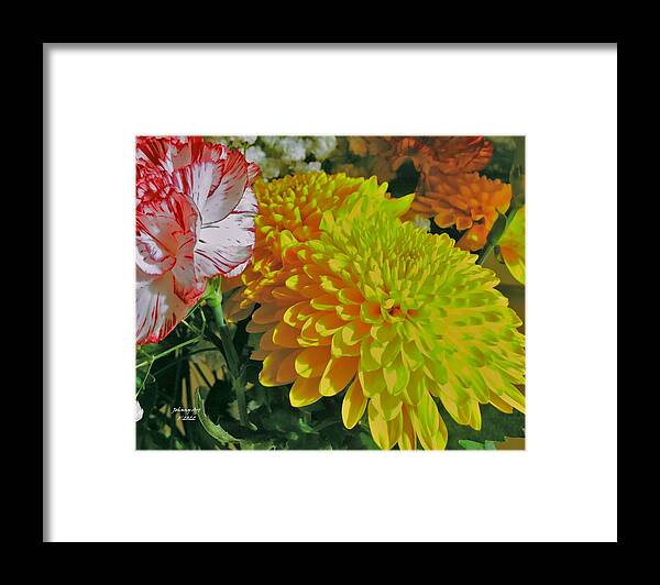 Colors Framed Print featuring the photograph Yellows and Reds by John Anderson