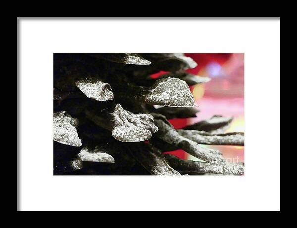 Chocolate Framed Print featuring the photograph Yummy Chocolate Tree by Amy Dundon