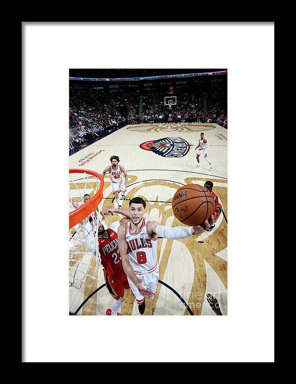 Chicago Bulls Framed Print featuring the photograph Zach Lavine by Layne Murdoch Jr.