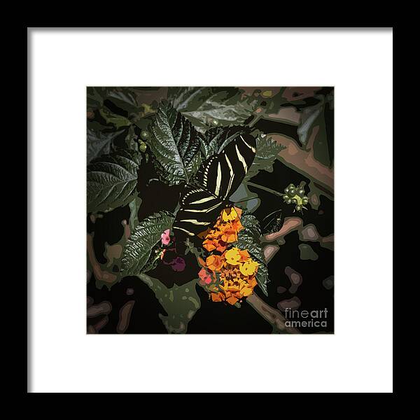 Zebra Butterfly Framed Print featuring the photograph Zebra Butterfly by Neala McCarten
