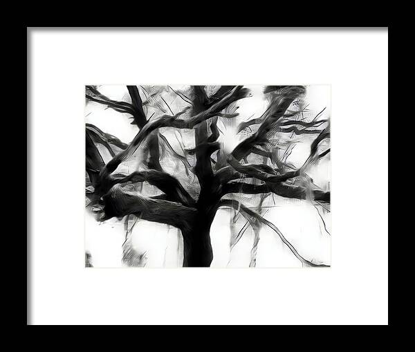 Black And White Framed Print featuring the digital art Zen Tree by Christina Knight