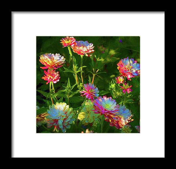 Painterly Framed Print featuring the photograph Zinnias in Afternoon Light by John Roach