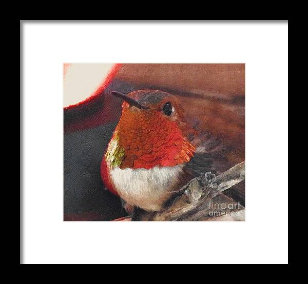 Hummingbird Framed Print featuring the photograph Hope is the thing with feathers by Nicola Finch