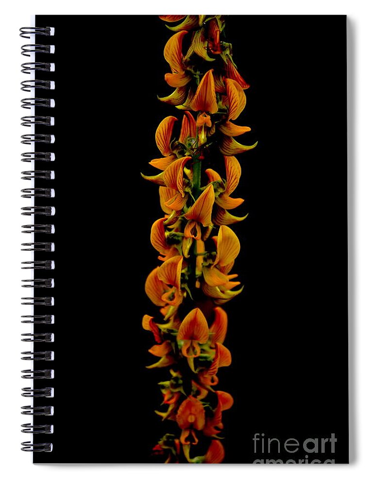 Nature Spiral Notebook featuring the photograph Bunch Of Flowers by Michelle Meenawong