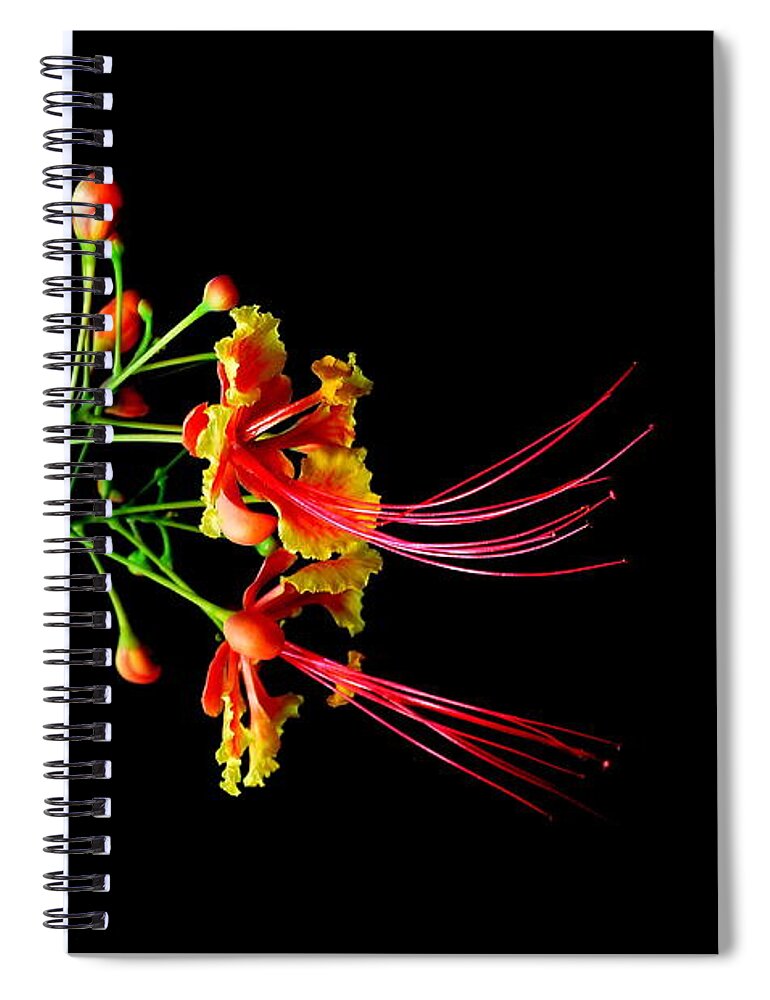 Nature Spiral Notebook featuring the photograph Delicacy by Michelle Meenawong