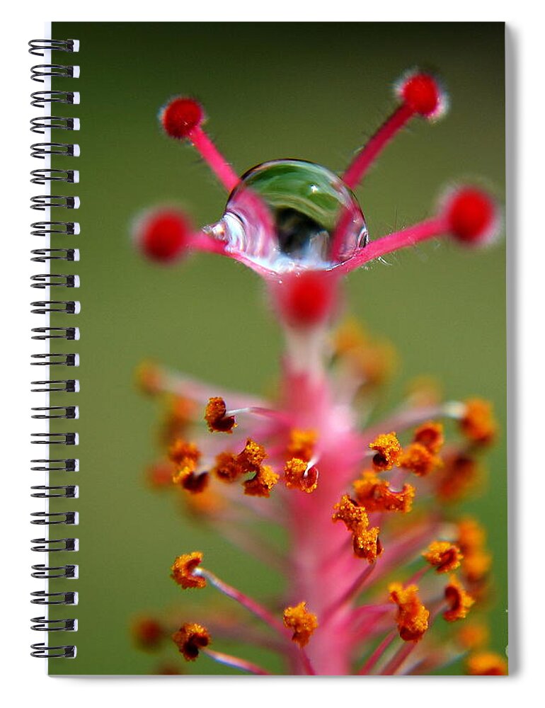 Michelle Meenawong Spiral Notebook featuring the photograph Eye by Michelle Meenawong