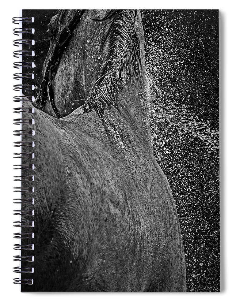 Horse Spiral Notebook featuring the photograph Horse Cool Off by Phil Cardamone