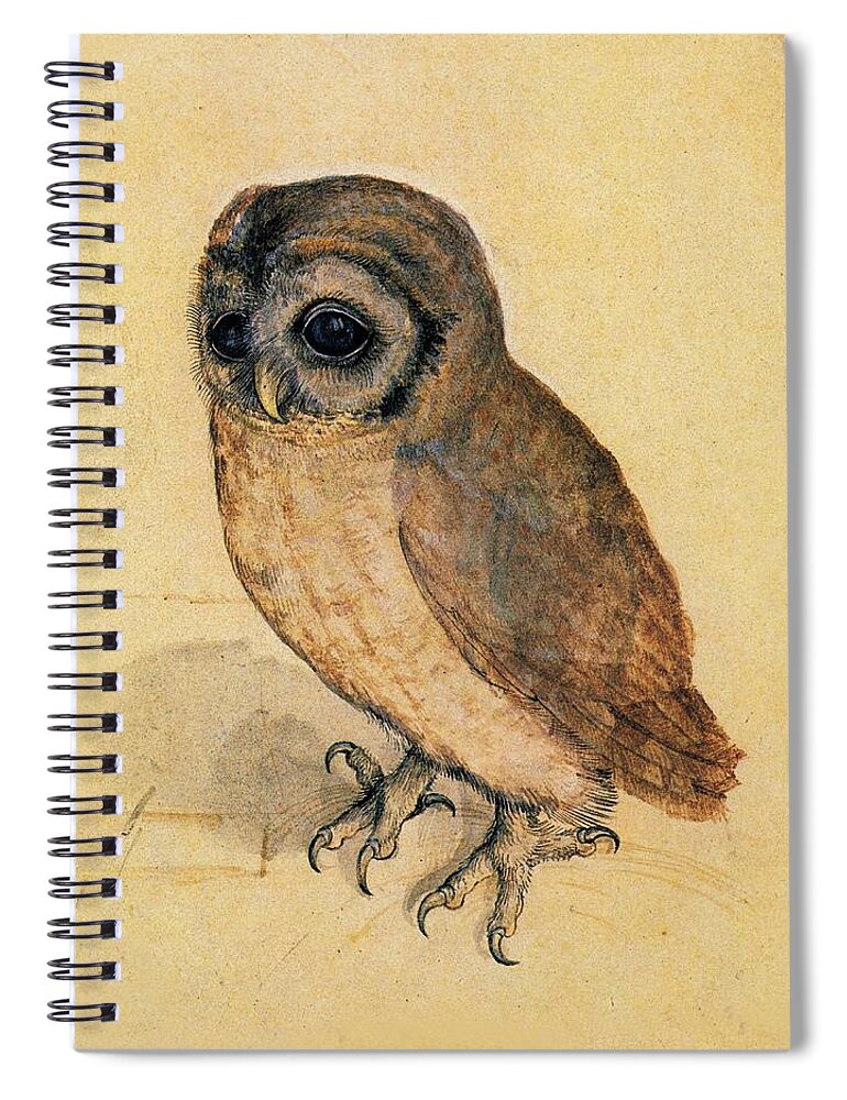 Owl Spiral Notebook featuring the painting Little Owl by Albrecht Durer