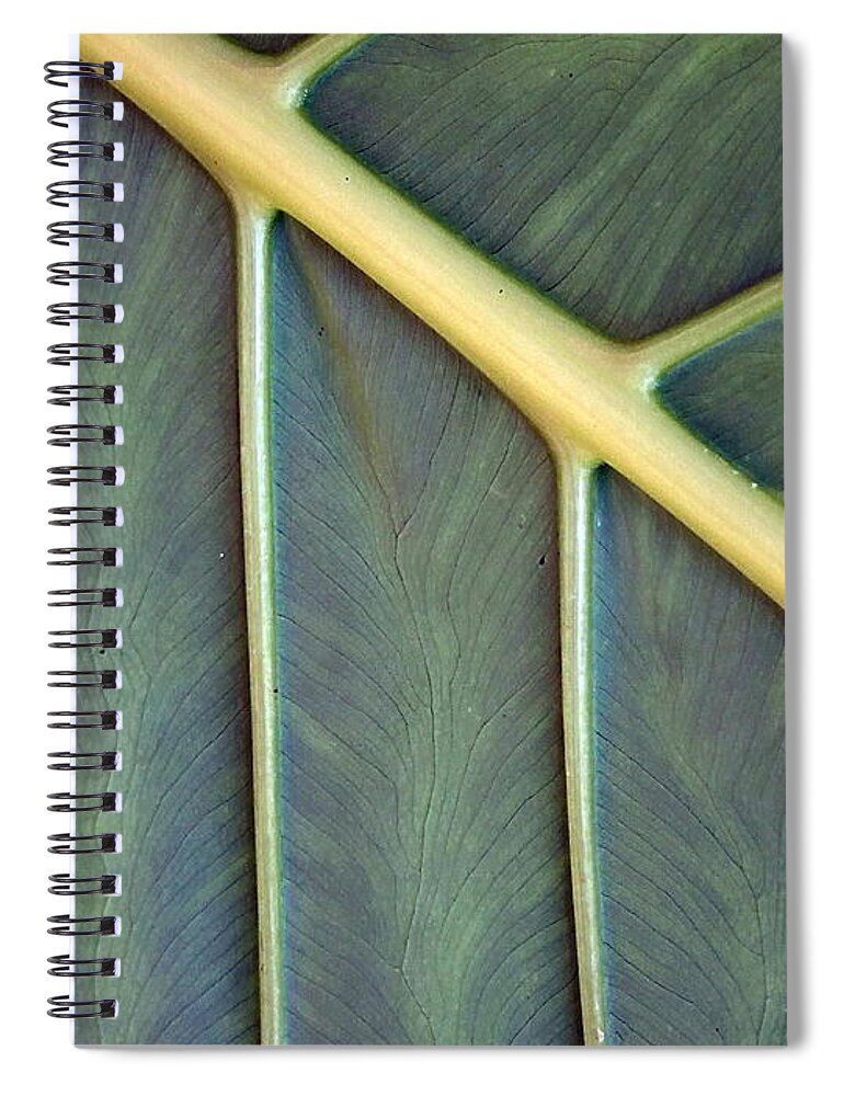 Nature Spiral Notebook featuring the photograph Nervures by Michelle Meenawong