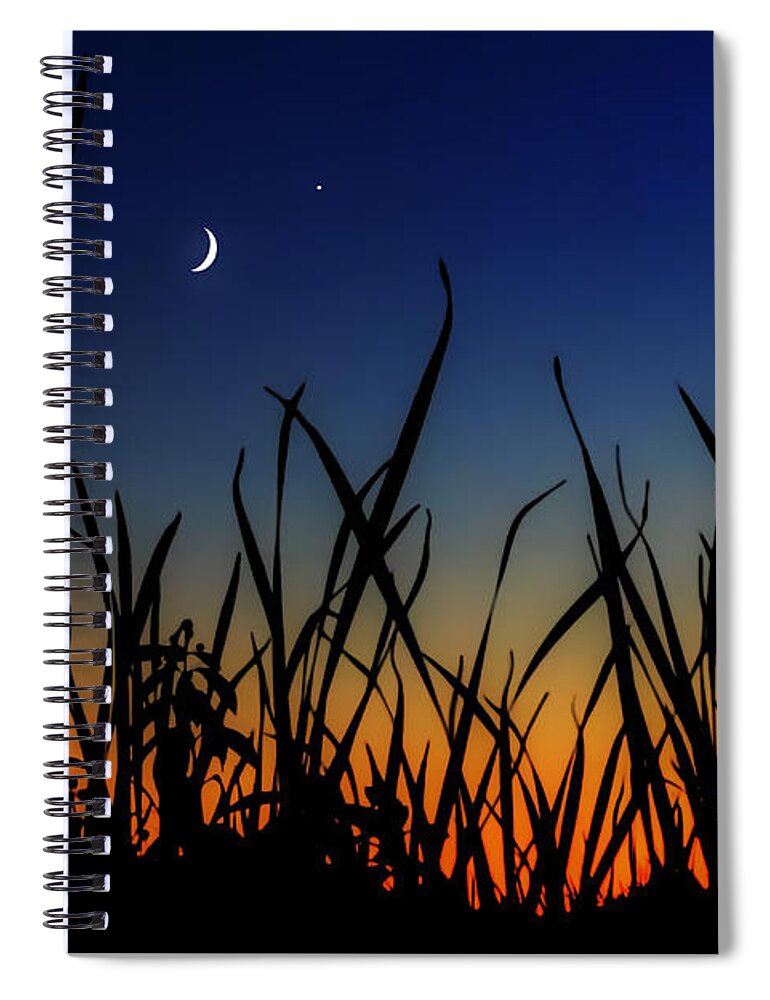 Boston Spiral Notebook featuring the photograph New Beginnings and Venus Smiles by Sylvia J Zarco