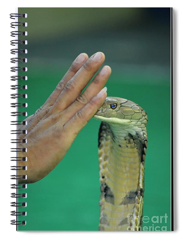 Michelle Meenawong Spiral Notebook featuring the photograph Stay Away by Michelle Meenawong