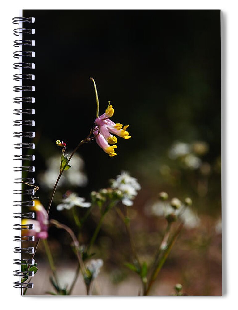 Middle Mountain Spiral Notebook featuring the photograph Tall Corydalis by Rockybranch Dreams