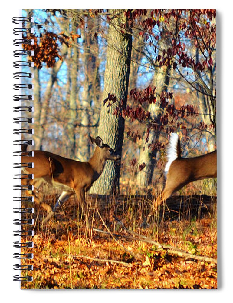 Landscape Spiral Notebook featuring the photograph White Tail Deer Leaping by Peggy Franz