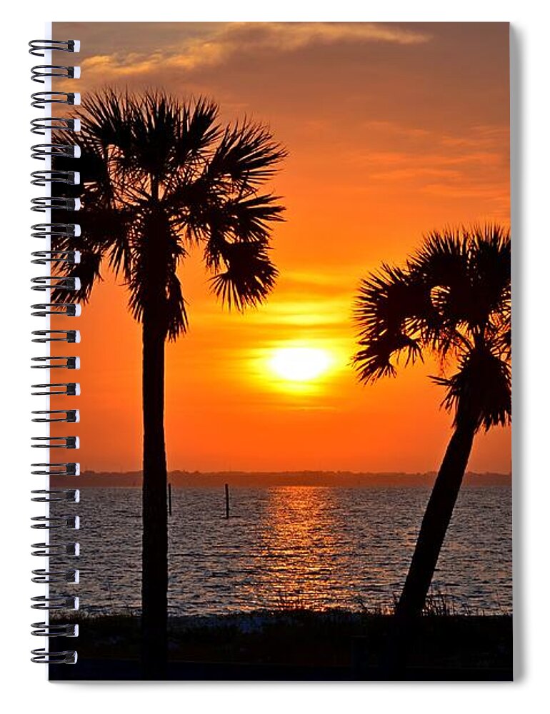 20120602 Spiral Notebook featuring the photograph 0602 Pair of Palms at Sunrise by Jeff at JSJ Photography