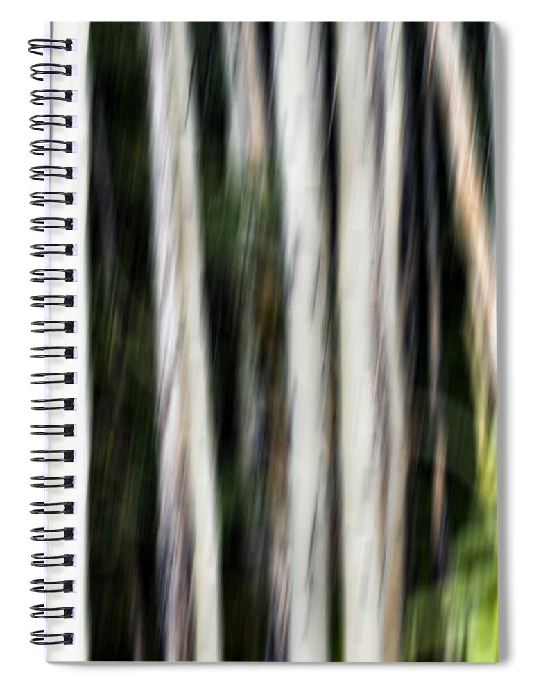 Abstract Spiral Notebook featuring the photograph 0897 Aspen abstract by Steve Sturgill