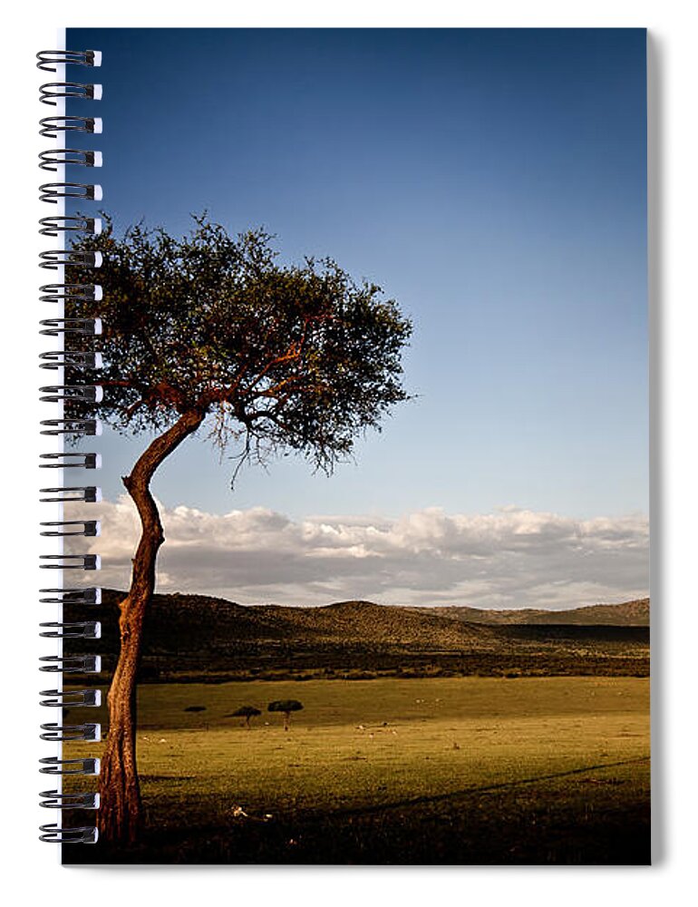 Africa Spiral Notebook featuring the photograph Acacia Sunset Shadow #1 by Mike Gaudaur