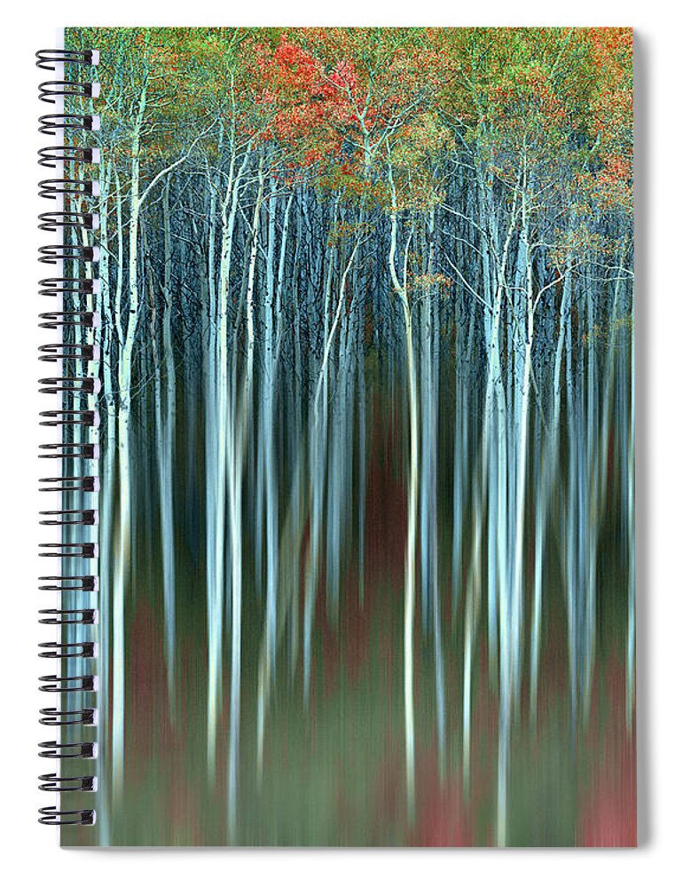 Abstract Spiral Notebook featuring the photograph Army of Trees #1 by Edmund Nagele FRPS
