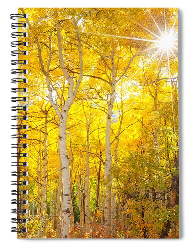 Aspens Spiral Notebook featuring the photograph Aspen Morning #1 by Darren White