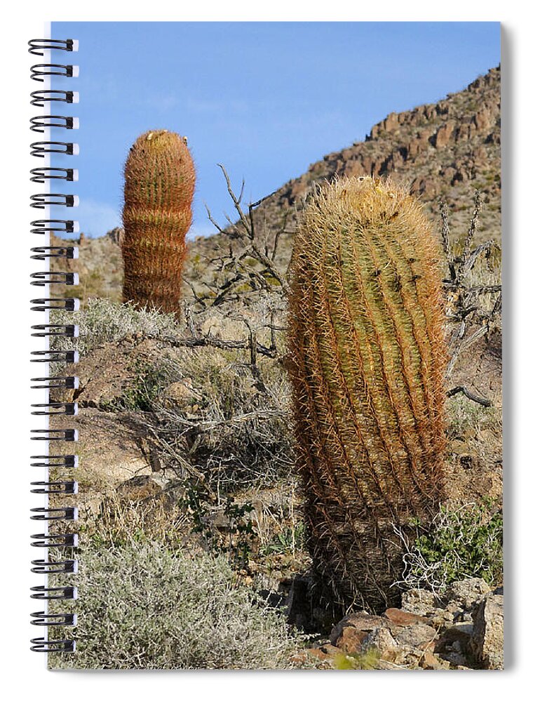 Cactus Spiral Notebook featuring the photograph Barrel Cactus #2 by Jim Thompson