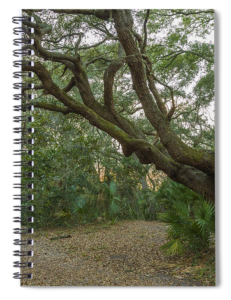 Acrylic Spiral Notebook featuring the photograph Behind the House by Jon Glaser