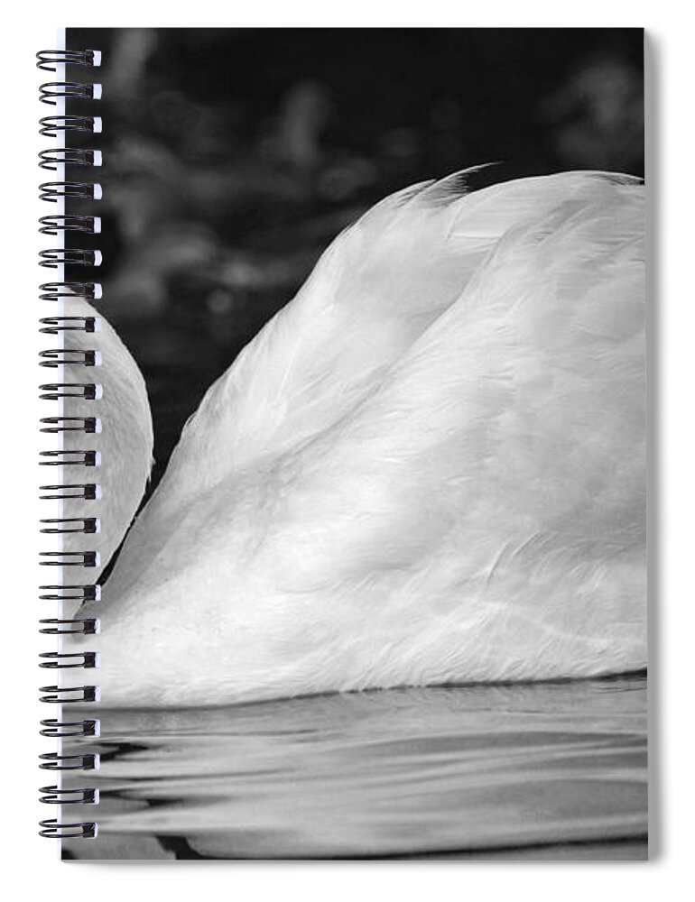 Boston Spiral Notebook featuring the photograph Boston Public Garden Swan #2 by Toby McGuire