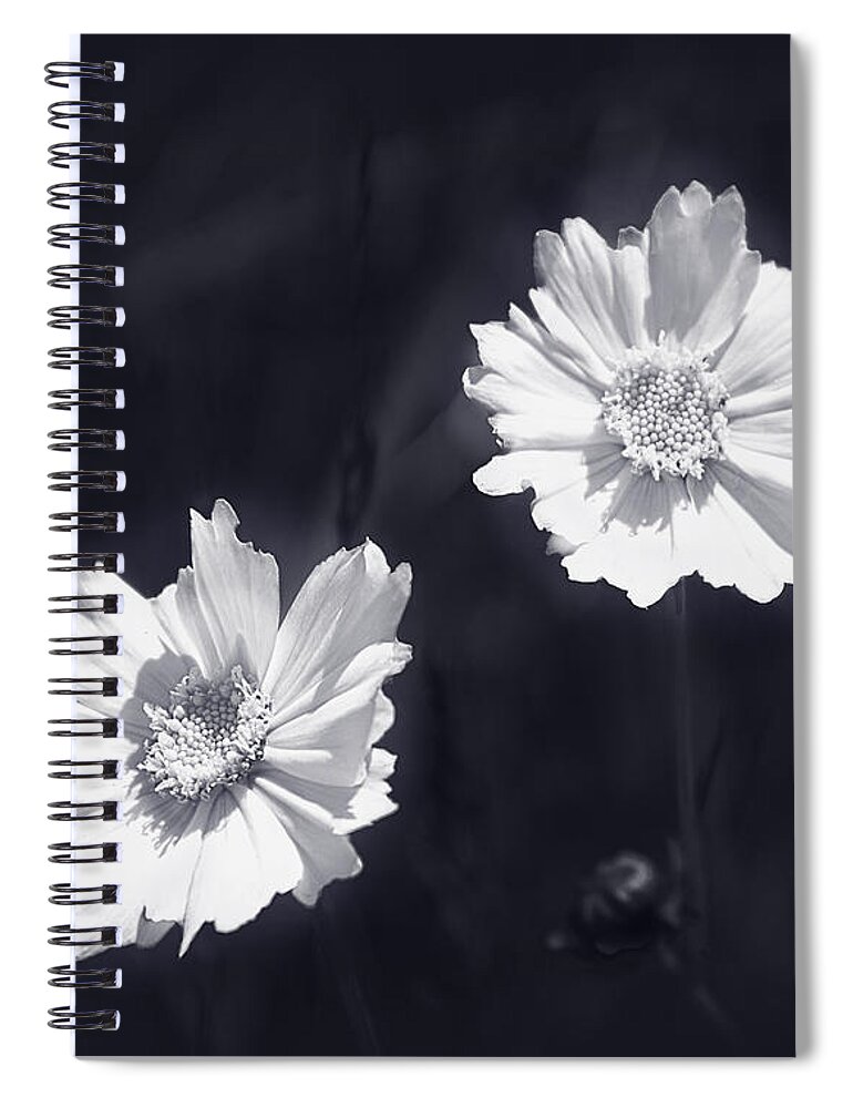 Bright Spiral Notebook featuring the photograph Bright as the Sun by Milena Ilieva