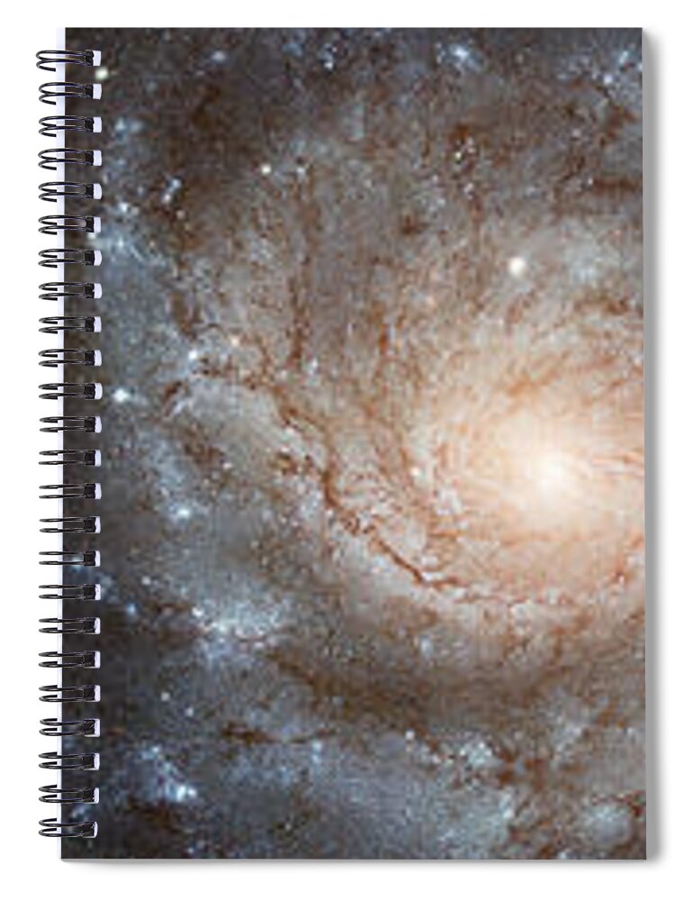 Photography Spiral Notebook featuring the photograph Cabbage With Galaxy And Pink Flowers #1 by Panoramic Images
