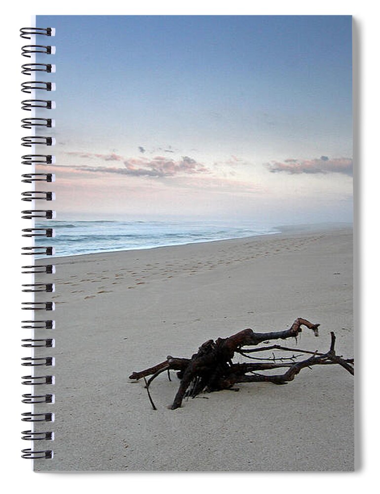 Driftwood Spiral Notebook featuring the photograph Cape Cod National Seashore #1 by Juergen Roth