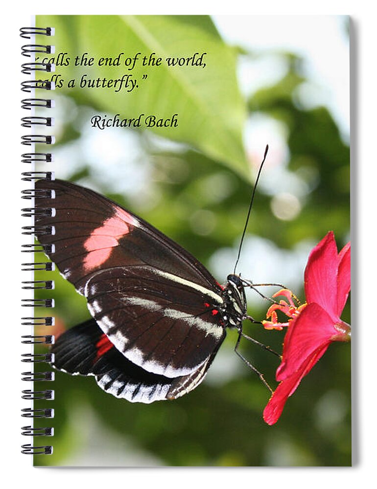 Insect Spiral Notebook featuring the photograph Caterpiller to a Butterfly by Sandra Clark