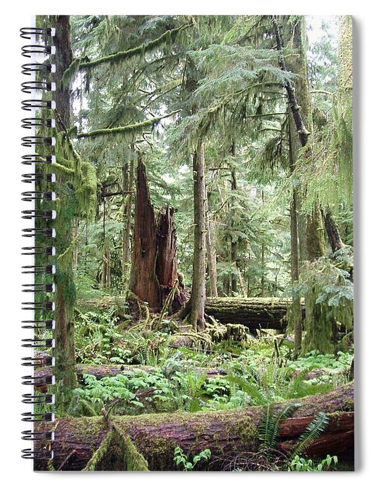 Trees Spiral Notebook featuring the photograph Cathedral Grove by Marilyn Wilson