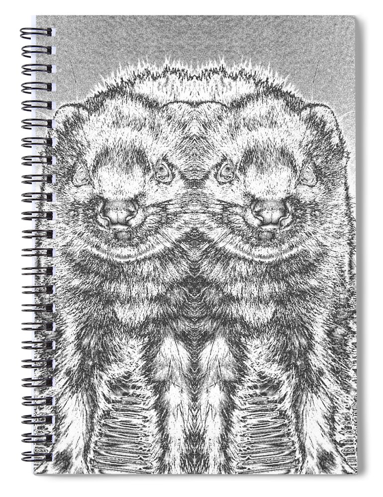 Seeing Double Panda Ferrets? I Have Added The Mirror And Chrome Effect Spiral Notebook featuring the photograph Chromed Ferrets #1 by Belinda Lee