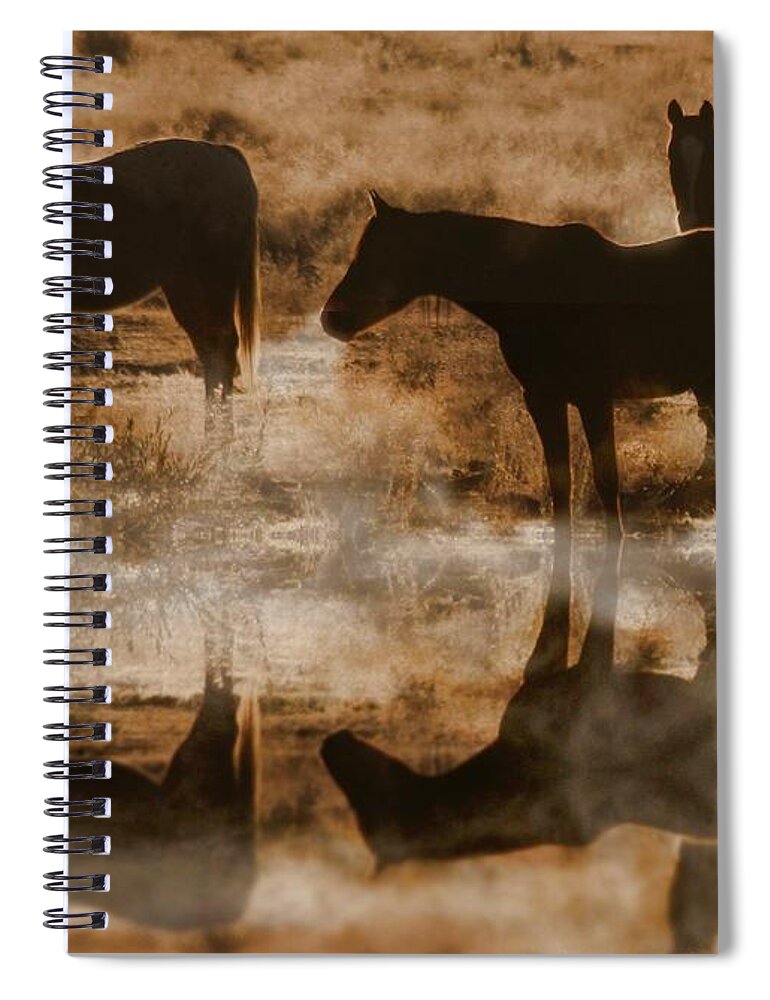 Equine Spiral Notebook featuring the photograph Cold Morning by Stephanie Laird