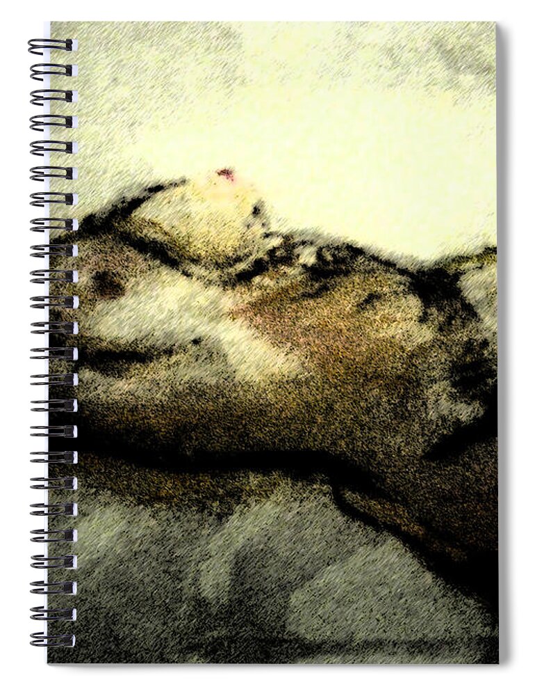 Dark Spiral Notebook featuring the digital art Dark Strokes by David Trotter