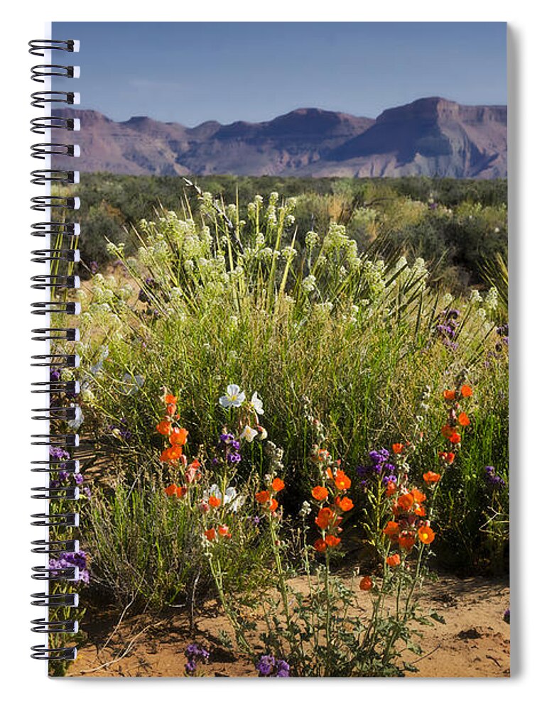Wildflowers Spiral Notebook featuring the photograph Desert Wildflowers #1 by Saija Lehtonen