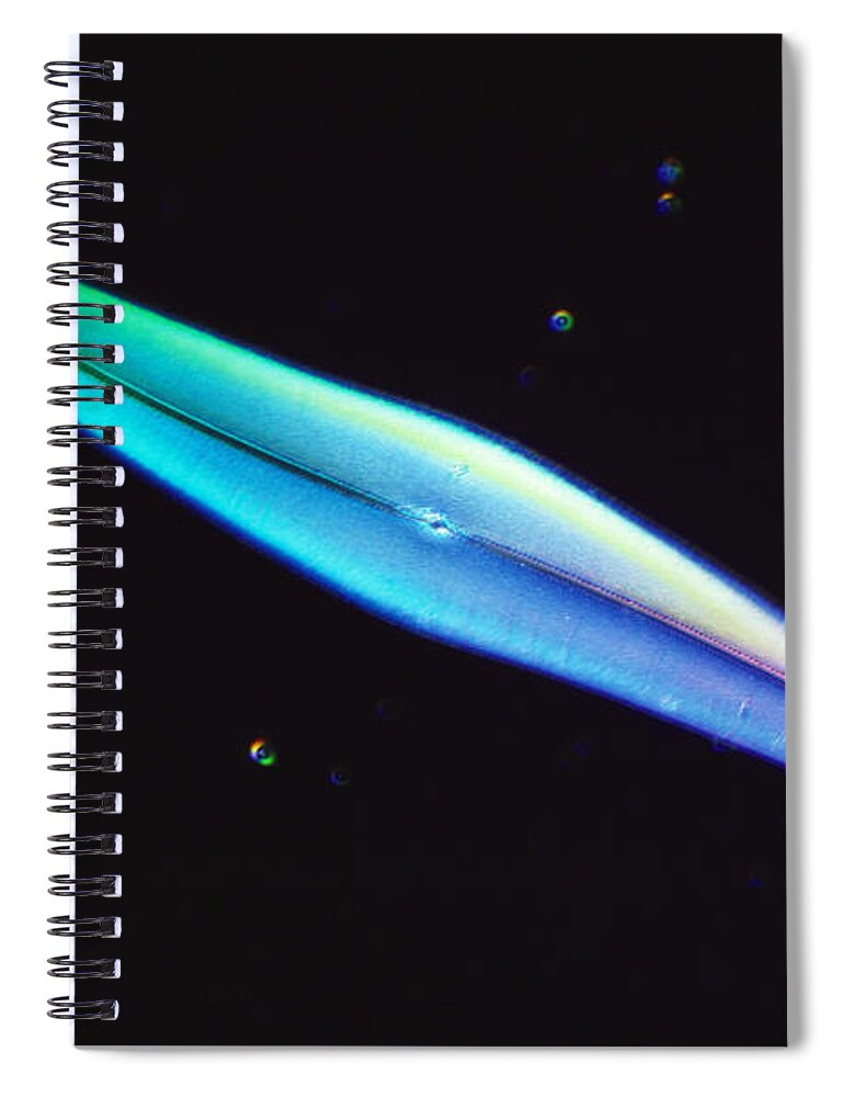 Algae Spiral Notebook featuring the photograph Diatom - Pleurosigma Angulatum #1 by Michael Abbey