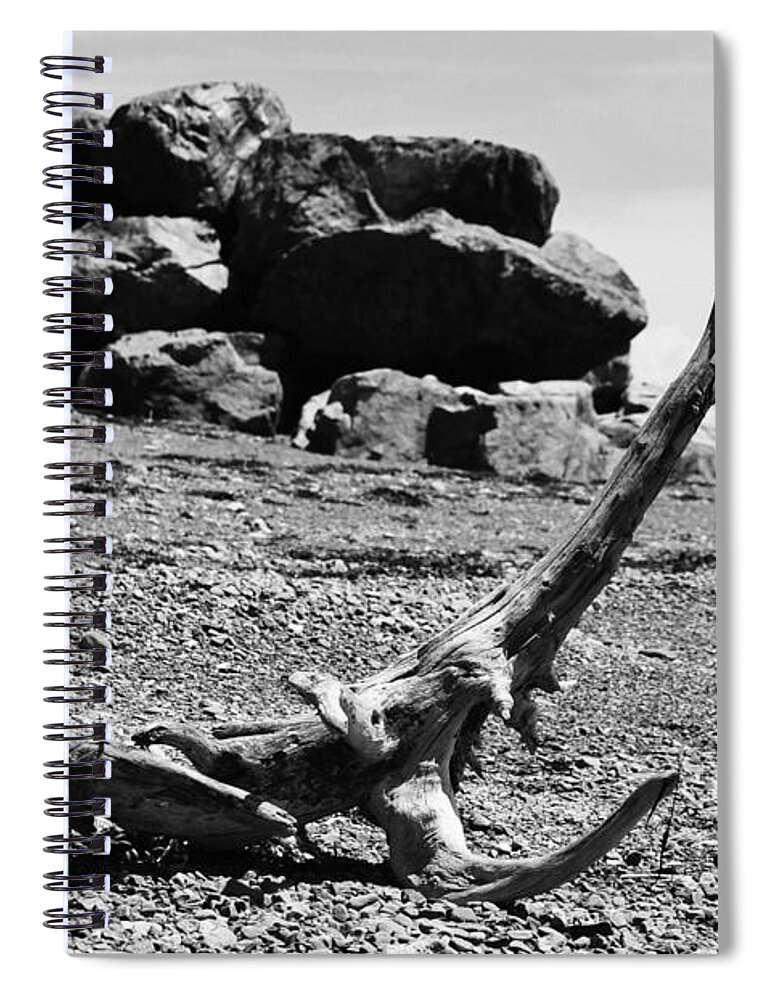 Beach Spiral Notebook featuring the photograph Driftwood Animal #2 by Randi Grace Nilsberg