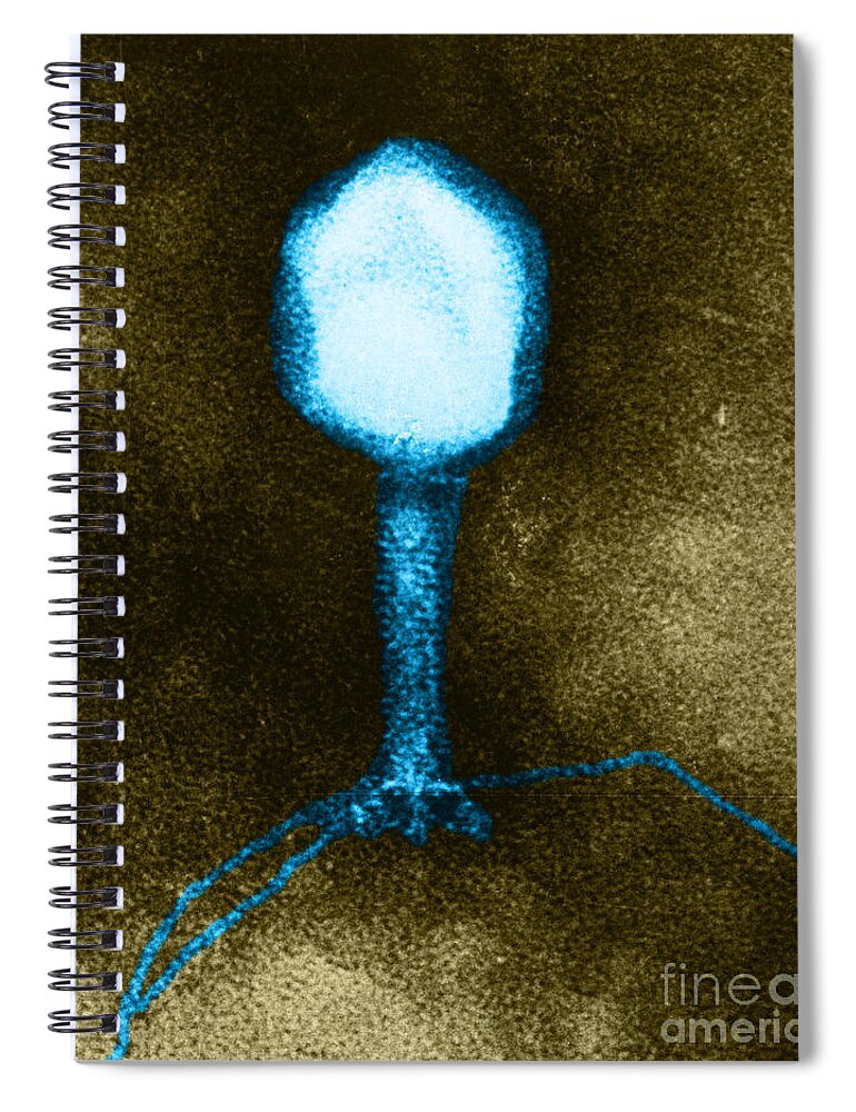 Medical Spiral Notebook featuring the photograph Enterobacteria Phage T4 #1 by Lee D. Simon