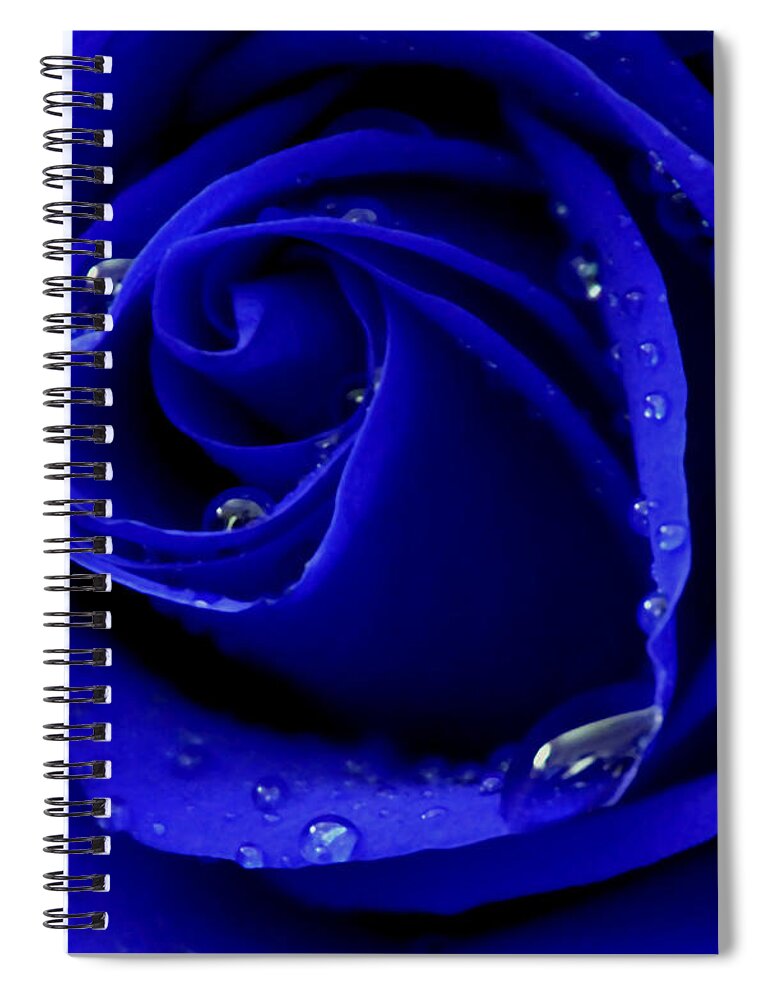 Rose Spiral Notebook featuring the photograph Eternally Yours II by Krissy Katsimbras