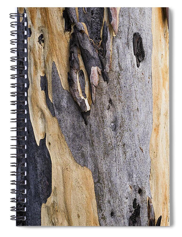 Australia Spiral Notebook featuring the photograph Australia - Eucalyptus bark by Steven Ralser