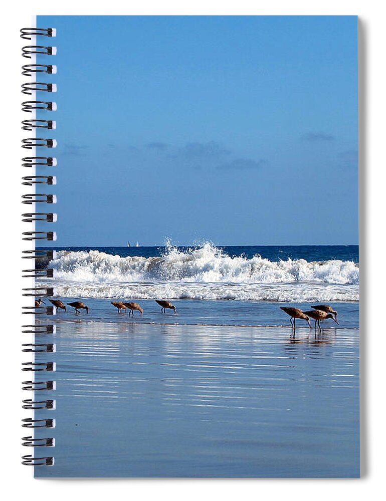 Beach Spiral Notebook featuring the photograph Feeding Time by Kelly Holm