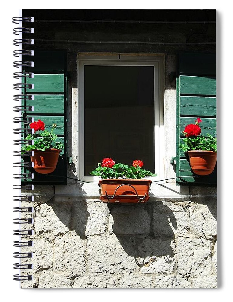 Flower Pot Shadows Spiral Notebook featuring the photograph Flower Pot Shadows by Mel Steinhauer
