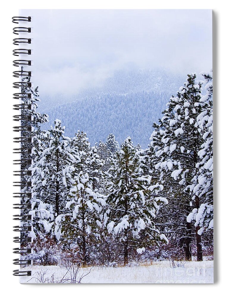 Beautiful Spiral Notebook featuring the photograph Fresh Snow #1 by Steven Krull