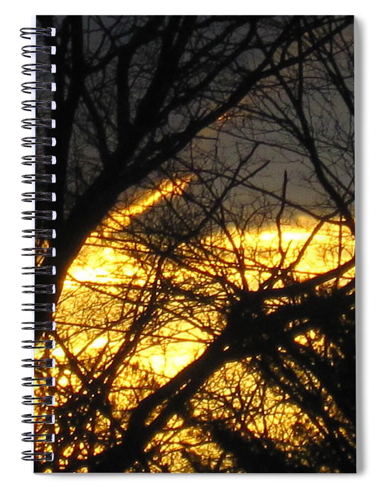 Fire Spiral Notebook featuring the photograph Golden Twilight #1 by Tara Shalton
