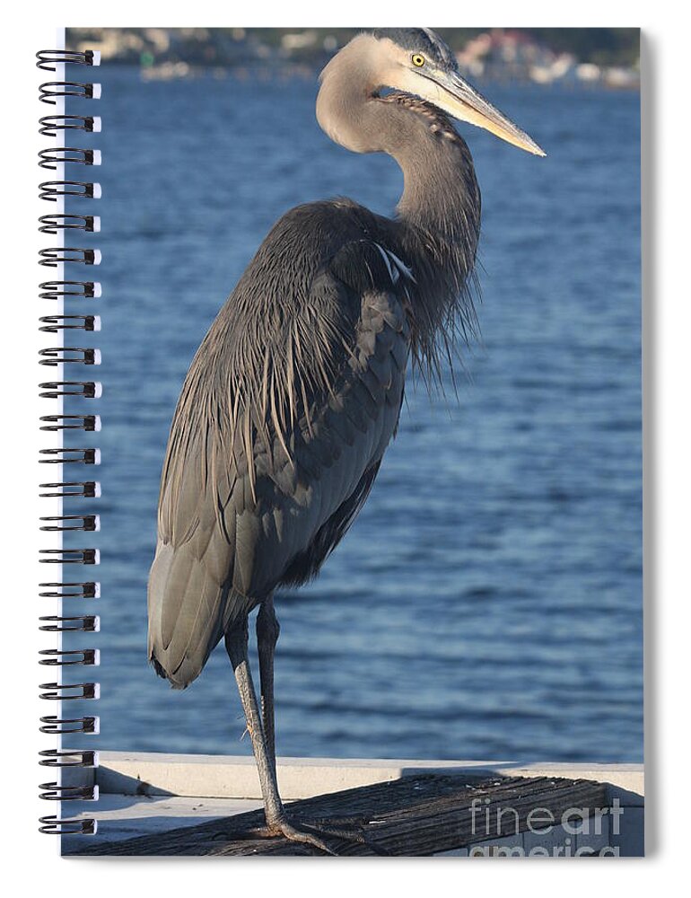 Heron Spiral Notebook featuring the photograph Great Blue Heron by Christiane Schulze Art And Photography