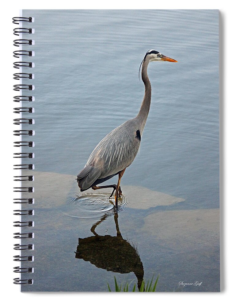 Heron Spiral Notebook featuring the photograph Great Blue Heron V #1 by Suzanne Gaff