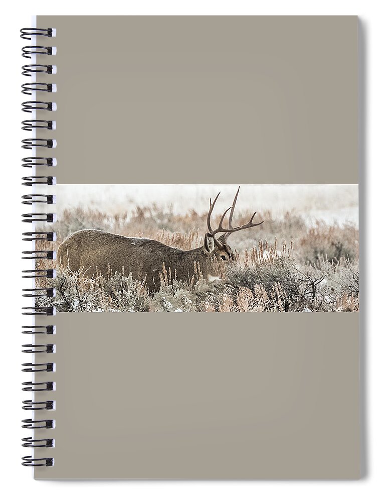 Deer Spiral Notebook featuring the photograph Greeting A Frosty Dawn #1 by Yeates Photography