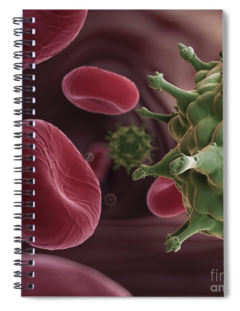 Infection Spiral Notebook featuring the photograph Hiv Infection #1 by Science Picture Co