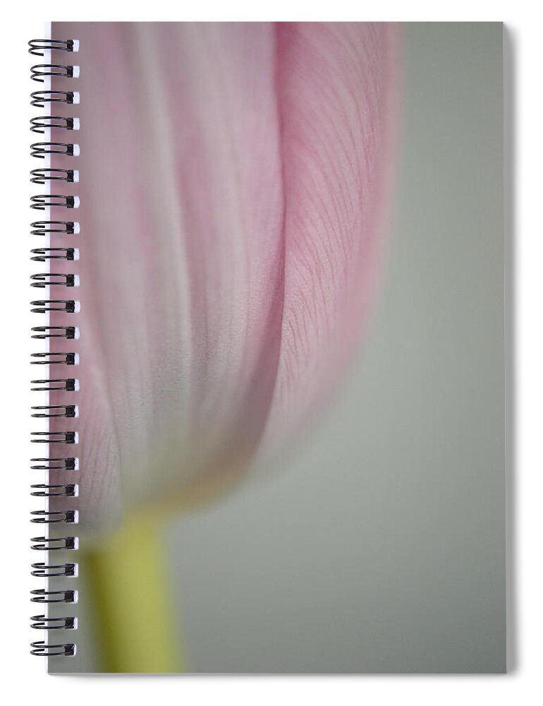 Flower Spiral Notebook featuring the photograph Holding On #1 by Melanie Moraga