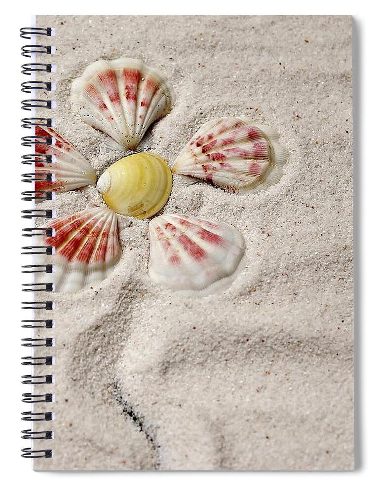 Shells Spiral Notebook featuring the photograph I See Yellow by Karin Pinkham